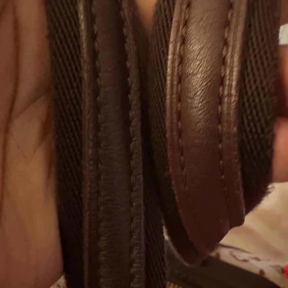 Louis Vuitton Josephine Doctor Bag
